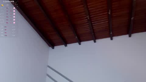 Venus Evans online show from 12-28-24, 11:26