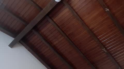 Venus Evans online show from 02-04-25, 03:54