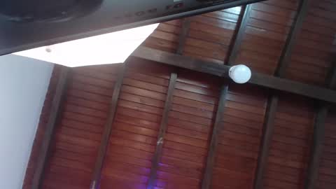 Venus Evans online show from 02-23-25, 12:19