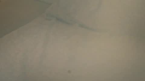 Snapshot of vern37 chatting on 04-23-26, 12:29 vern37 online show from 04-23-26, 12:29
