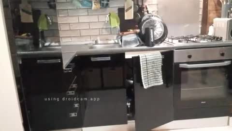 veronica1991rm online show from 03-04-25, 08:16