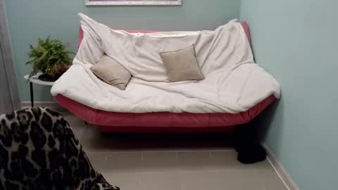 Helen online show from 03-12-25, 11:42