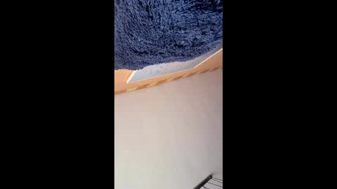 veronika456 online show from 06-04-26, 07:58