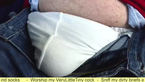 Snapshot of verylittletiny chatting on 10-20-25, 06:36 Erik online show from 10-20-25, 06:36