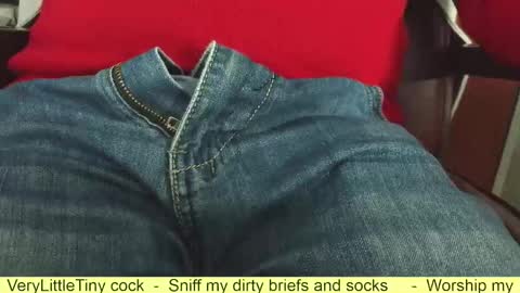 Snapshot of verylittletiny chatting on 10-23-25, 08:02 Erik online show from 10-23-25, 08:02