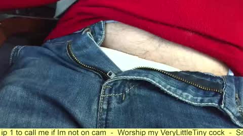 Snapshot of verylittletiny chatting on 10-25-25, 08:11 Erik online show from 10-25-25, 08:11