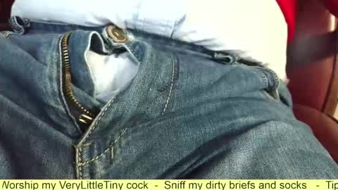 Snapshot of verylittletiny chatting on 10-26-25, 06:58 Erik online show from 10-26-25, 06:58