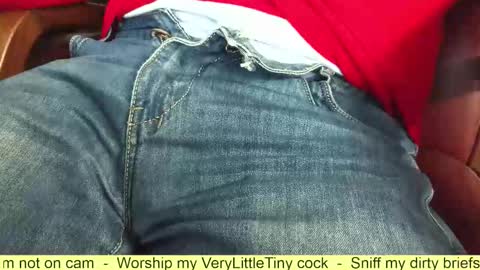 Snapshot of verylittletiny chatting on 10-28-25, 07:56 Erik online show from 10-28-25, 07:56