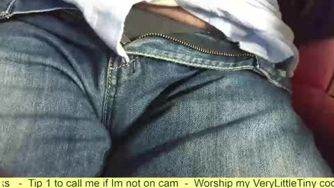 Snapshot of verylittletiny chatting on 11-05-25, 07:36 Erik online show from 11-05-25, 07:36