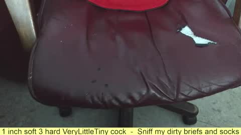 Snapshot of verylittletiny chatting on 11-07-25, 08:03 Erik online show from 11-07-25, 08:03