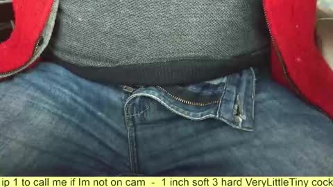 Snapshot of verylittletiny chatting on 11-10-25, 07:29 Erik online show from 11-10-25, 07:29