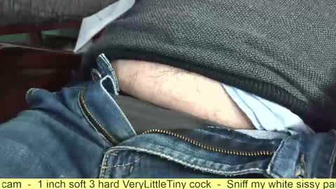 Snapshot of verylittletiny chatting on 11-12-25, 07:42 Erik online show from 11-12-25, 07:42