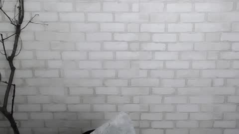 Ana online show from 12-28-24, 03:59