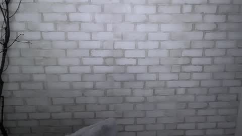 Ana online show from 12-30-24, 01:36