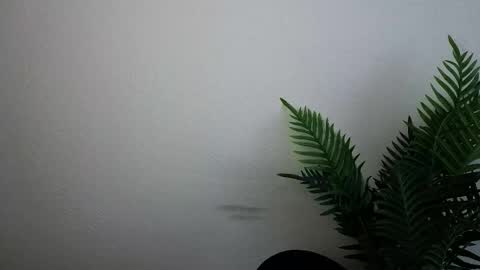 Ana online show from 09-30-25, 12:10