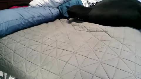 Snapshot of vexnew chatting on 11-04-25, 06:51 Vexnew online show from 11-04-25, 06:51