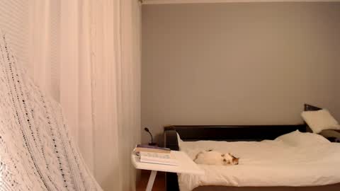 Amelia online show from 02-05-25, 05:09