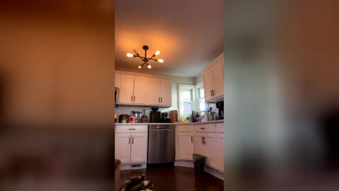 vic_cd online show from 04-08-26, 11:54