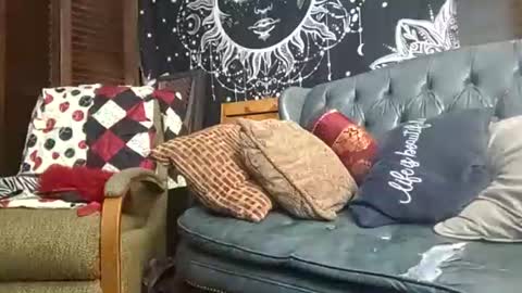 Snapshot of victoryyisours chatting on 10-29-25, 08:05 victoryyisours online show from 10-29-25, 08:05