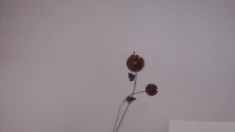 viiolettaaa online show from 06-27-26, 10:37