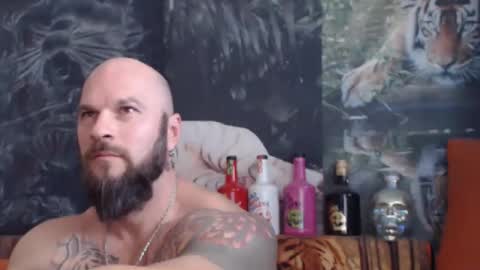 viking online show from 11-04-25, 08:02