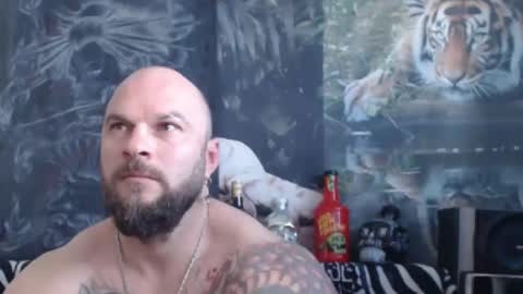 viking online show from 04-14-26, 06:19