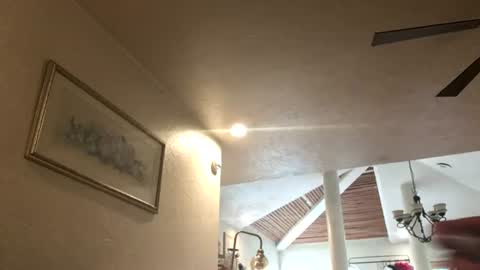 Vikinyourpuss online show from 07-23-26, 01:08