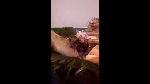 Snapshot of vinnieboiiii chatting on 06-06-26, 09:41 BigRed online show from 06-06-26, 09:41