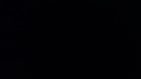 Daniela online show from 12-16-24, 08:16