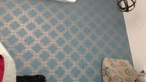 Violeta  online show from 12-06-24, 01:18