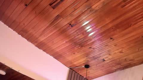 Violet online show from 03-28-26, 02:11