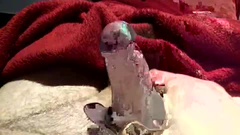 Snapshot of virtual_hand_player chatting on 01-31-25, 06:36 virtual_hand_player online show from 01-31-25, 06:36