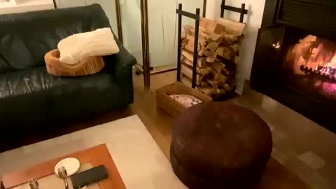 Vivlove online show from 12-21-24, 11:56