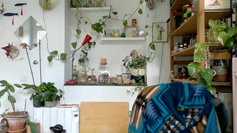 Viv online show from 01-06-25, 01:08