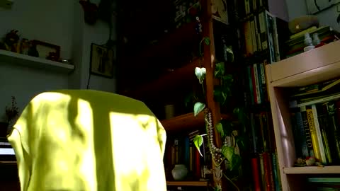 Viv online show from 10-27-25, 12:09