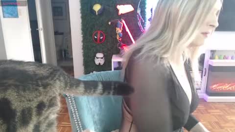 Snapshot of vixen_lockheart chatting on 05-31-26, 02:13 Vixen online show from 05-31-26, 02:13