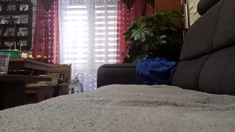 vlami69 online show from 11-30-25, 08:40