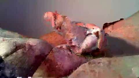 Snapshot of vukavuka99 chatting on 12-16-24, 12:59 vukavuka99 online show from 12-16-24, 12:59