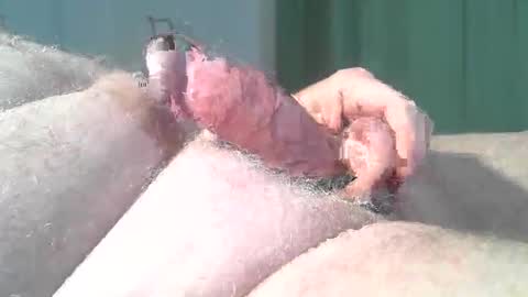 Snapshot of vukavuka99 chatting on 03-02-26, 09:21 vukavuka99 online show from 03-02-26, 09:21