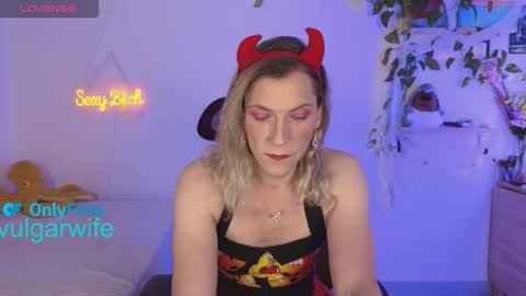 Snapshot of vulgar_wife chatting on 10-26-25, 04:46 Vikky online show from 10-26-25, 04:46