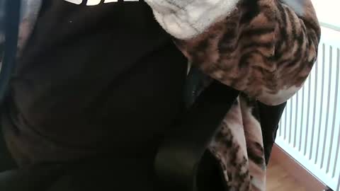 Snapshot of vulkan12p chatting on 02-04-25, 02:10 Daniel online show from 02-04-25, 02:10