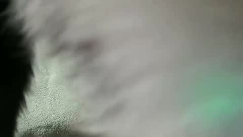 Snapshot of vulkan12p chatting on 02-28-25, 07:56 Daniel online show from 02-28-25, 07:56