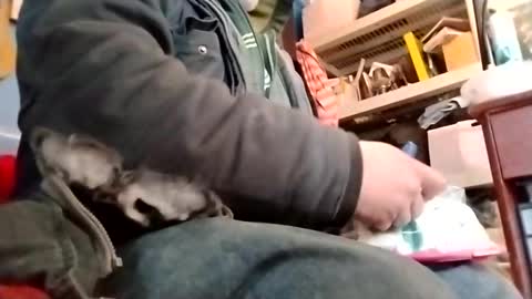 waffywaff77 online show from 01-12-25, 11:58