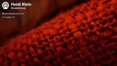 wakehimup online show from 11-01-25, 03:58