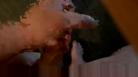Snapshot of wakeman222 chatting on 04-15-26, 01:12 Dirty Slut Teacher online show from 04-15-26, 01:12