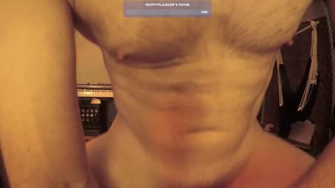 Snapshot of wappyflanker chatting on 12-11-24, 02:54 wappyflanker online show from 12-11-24, 02:54