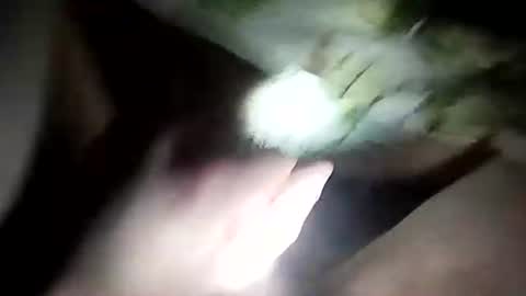 Snapshot of wariatos3 chatting on 01-10-25, 12:17 wariatos3 online show from 01-10-25, 12:17