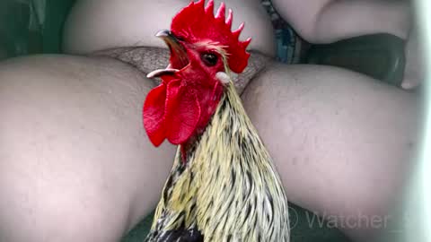 Snapshot of watcher_9 chatting on 11-09-25, 08:29 classified online show from 11-09-25, 08:29