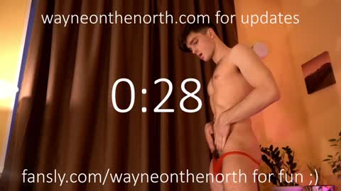 Snapshot of waynenorth chatting on 12-21-24, 04:30 waynenorth online show from 12-21-24, 04:30