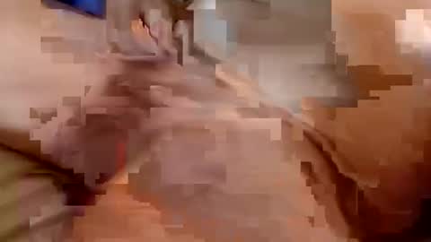 welldny online show from 10-25-25, 04:46